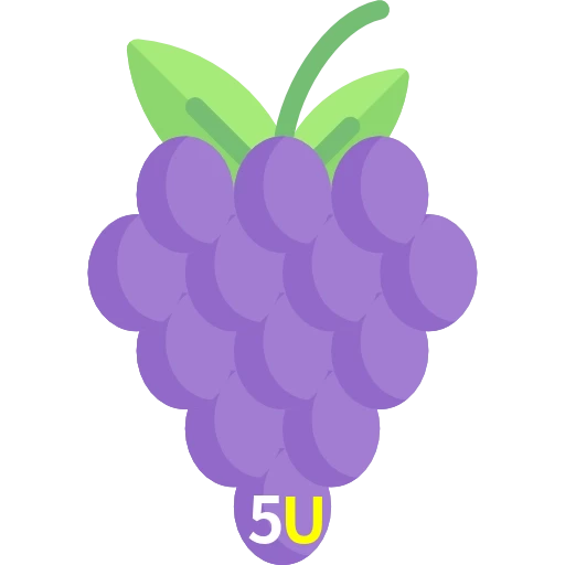 5U